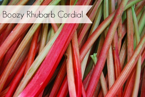 rhubarb ideas
