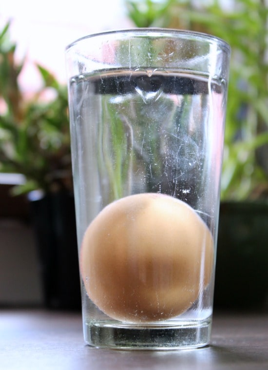 egg glass water test