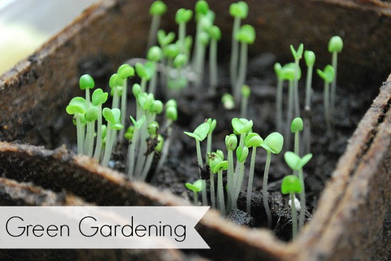 green gardening tips