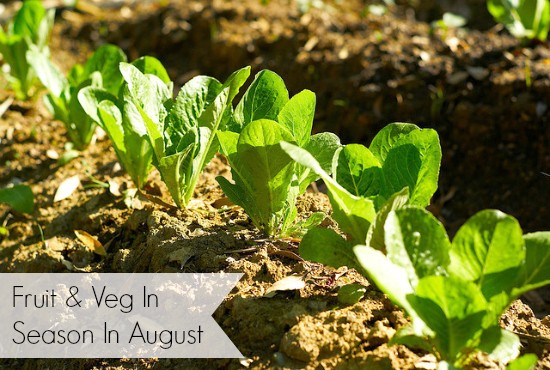 what's in season in August