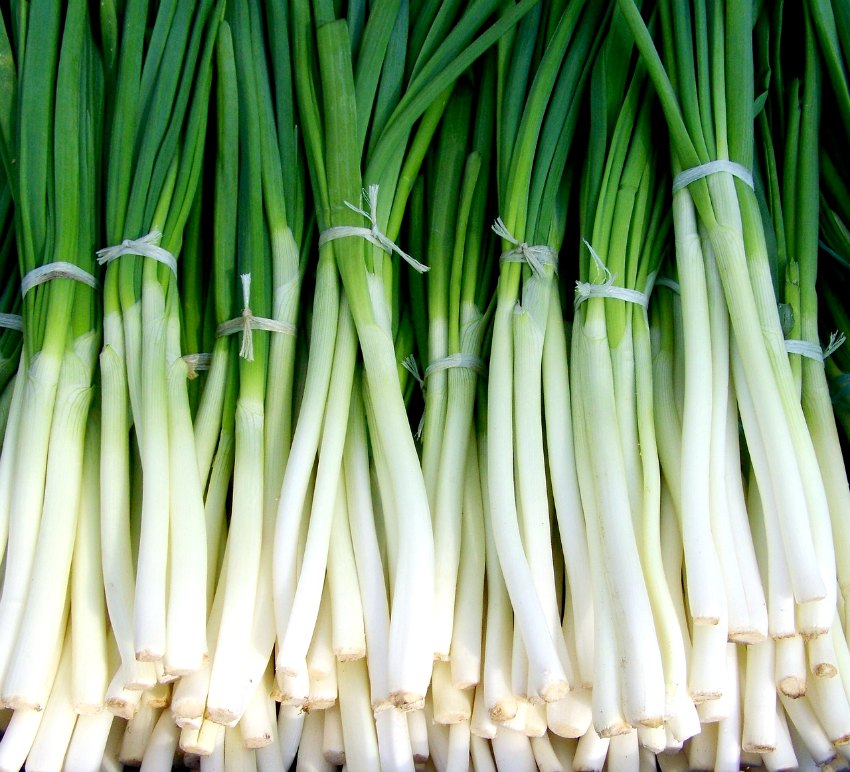 storing spring onions