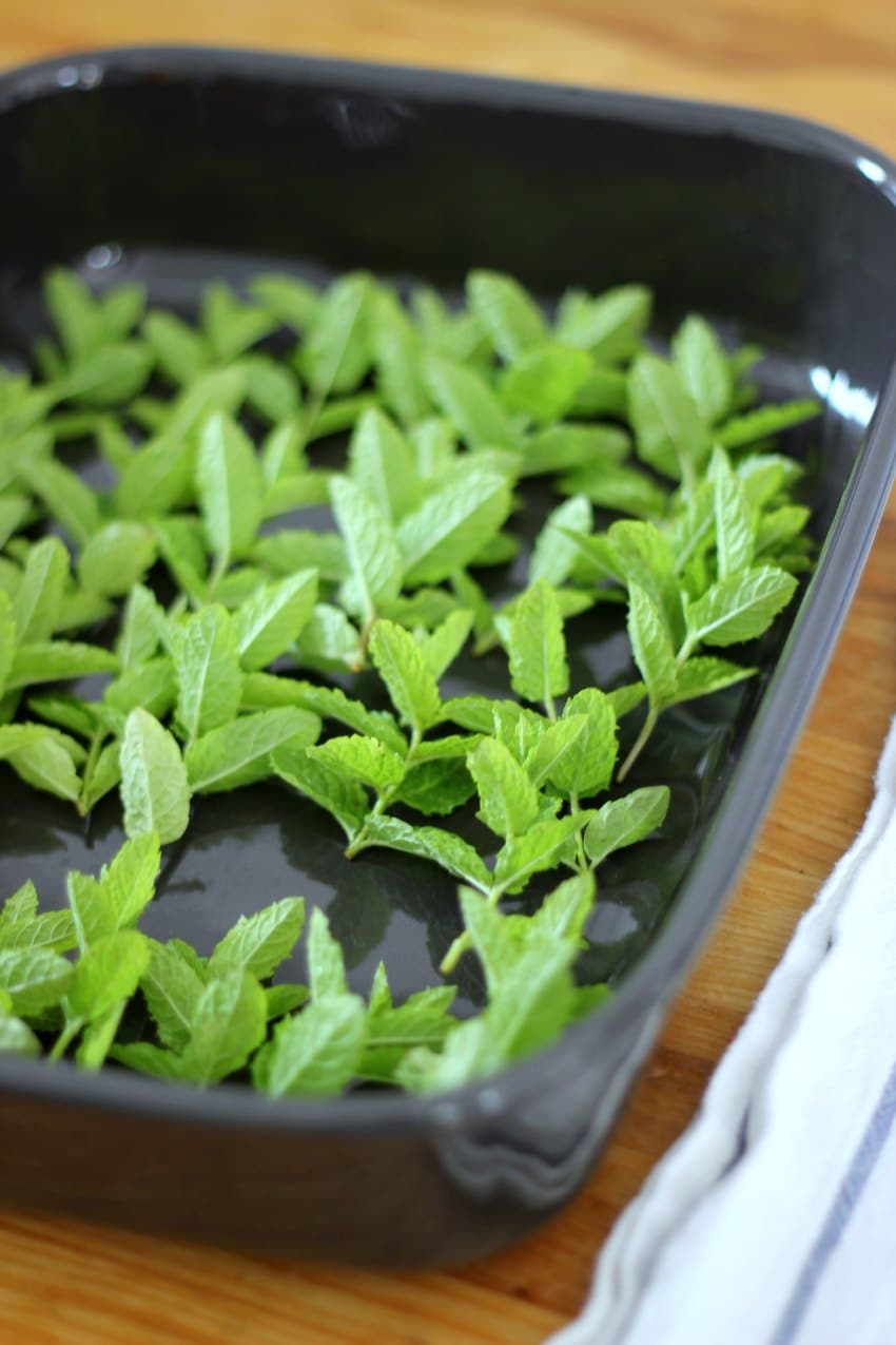 drying peppermint leaves in the oven