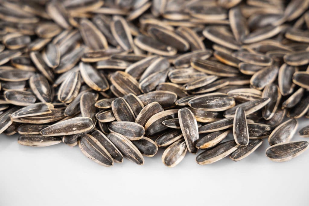 how to make sunflower seed butter