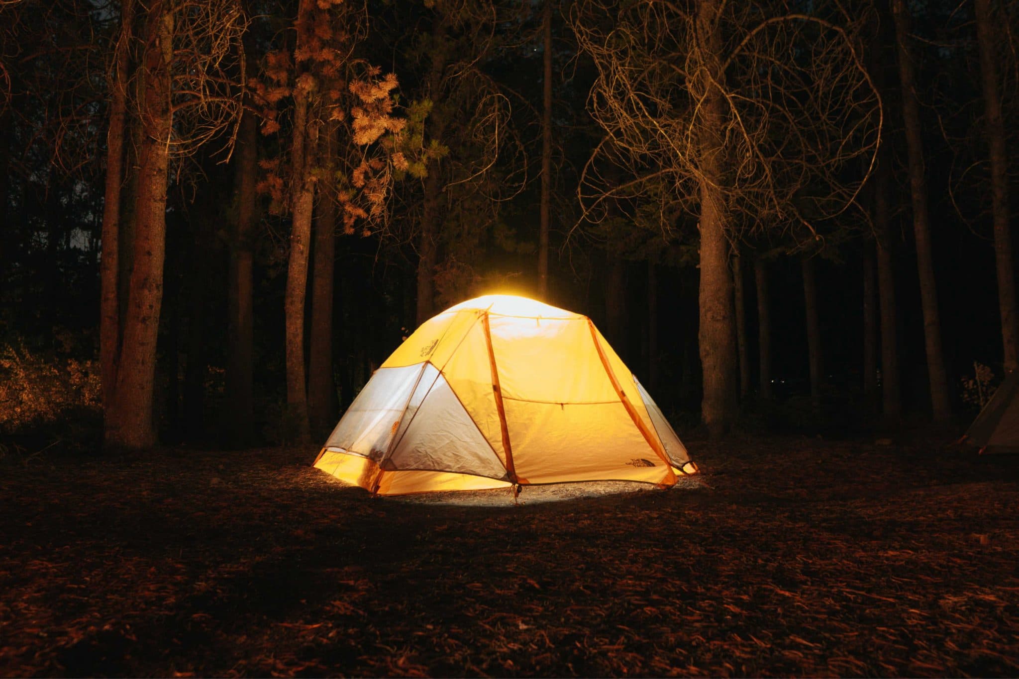 Tent in the woods at night