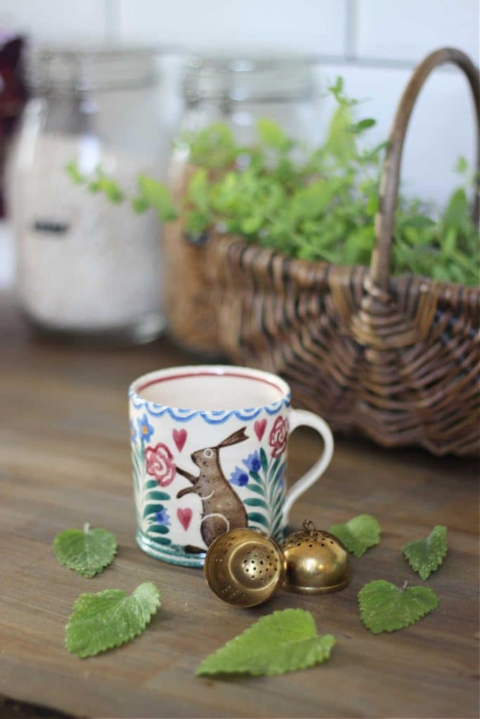 A cup and tea infuser, with fresh lemon balm leaves