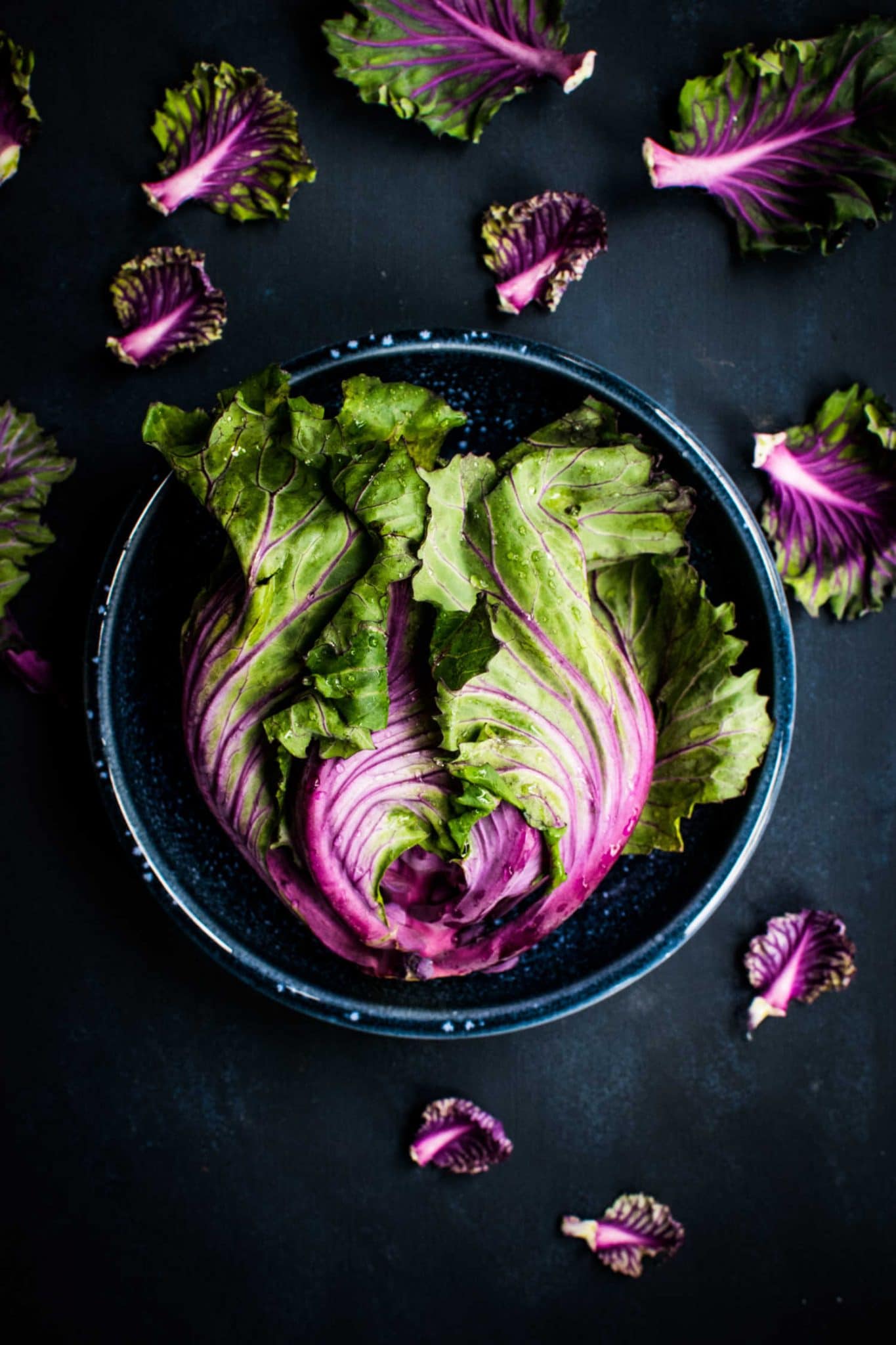 How To Store Lettuce To Romaine Fresher for Longer