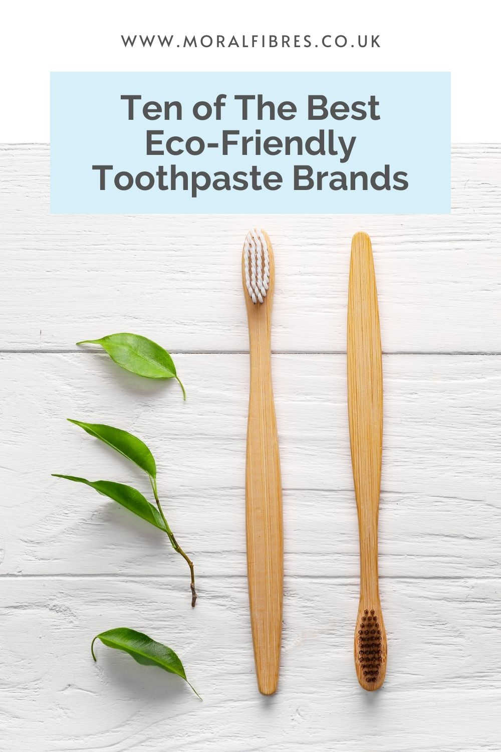 Two wooden toothbrushes with a blue text box that says ten of the best eco-friendly toothpaste brands