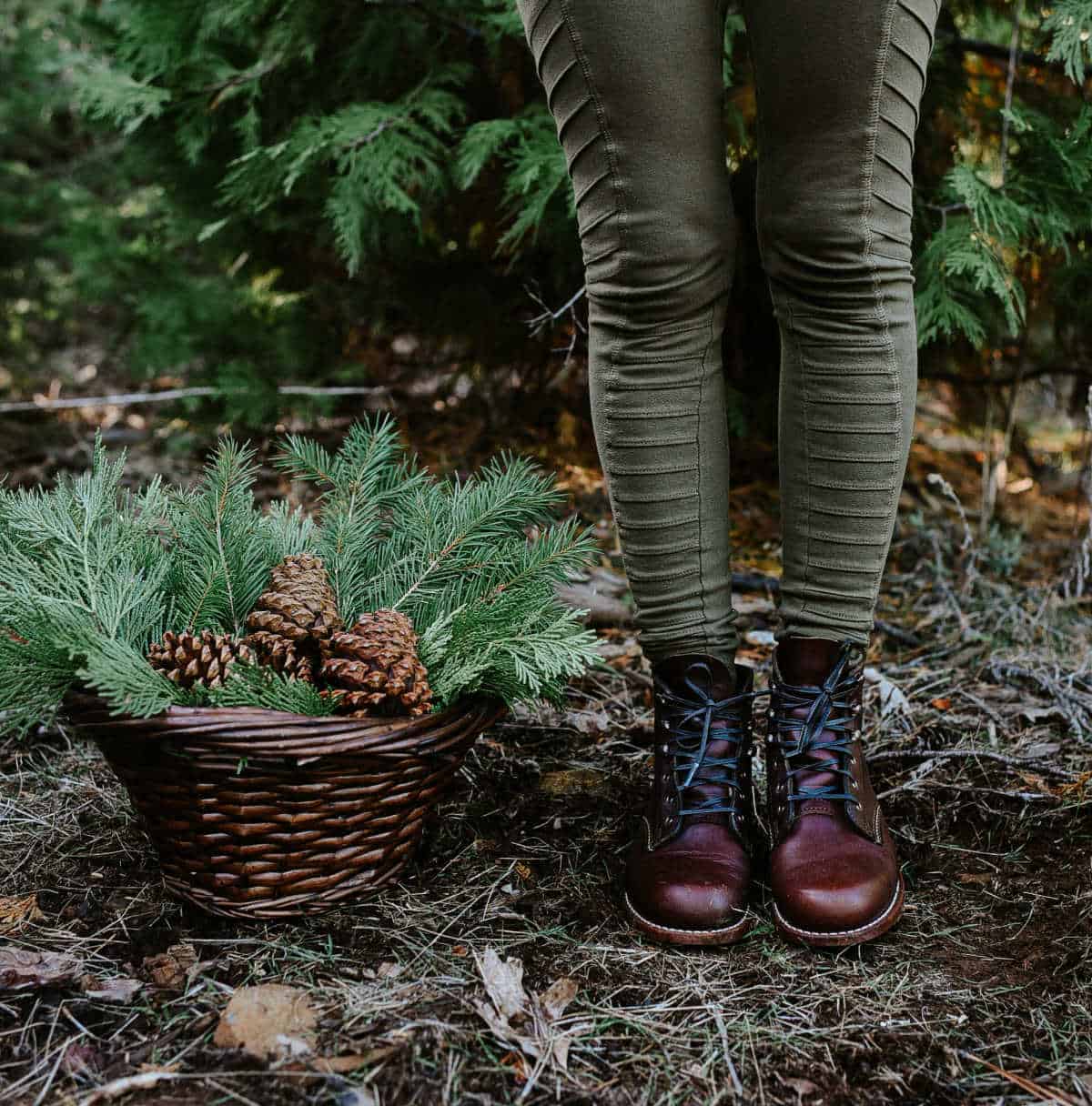 The Best Books On Foraging To Seek Out In 2024