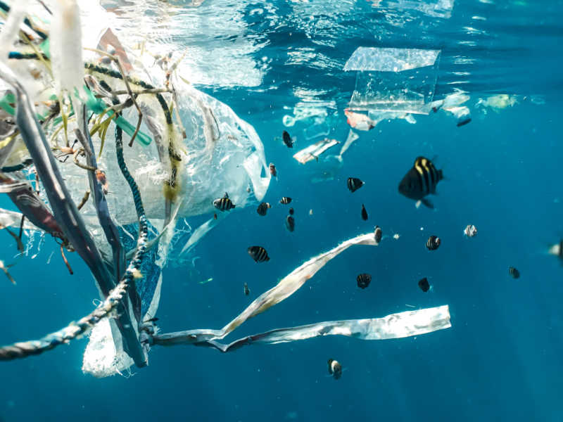 Plastic waste in the sea.