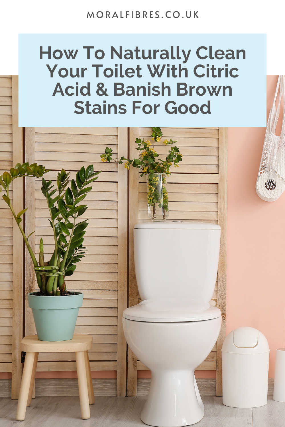 A white toilet with a plant next to it, with a blue text box that reads how to naturally clean your toilet with citric acid and banish brown stains for good.