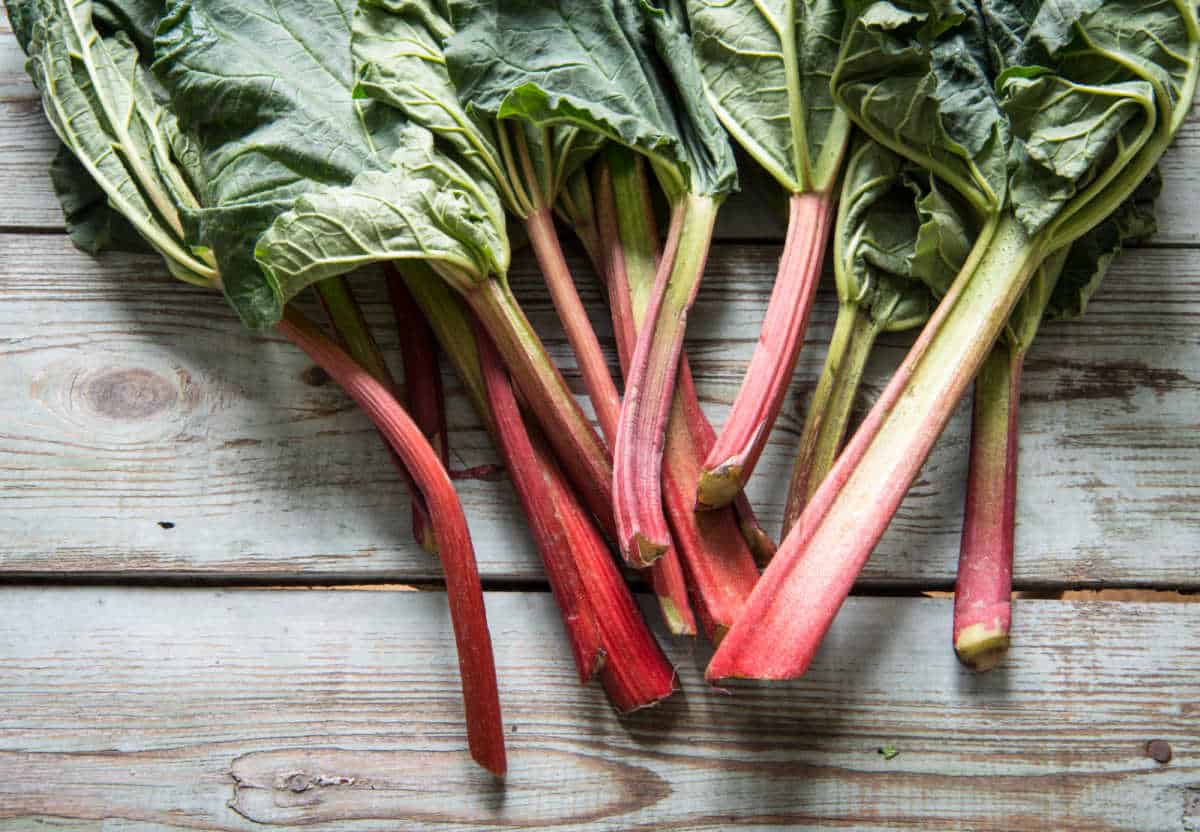 stalks of rhubarb on a wooden table