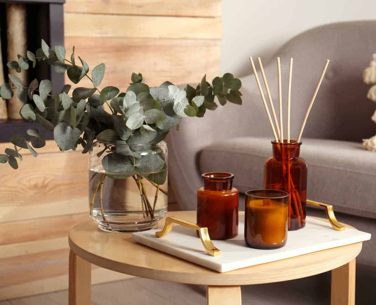Guide To The Best Eco-Friendly & Organic Reed Diffusers