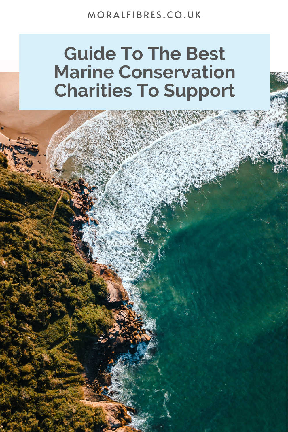 Ocean waves breaking on rocks and a beach, with a blue text box that reads guide to the best marine conservation charities to support.