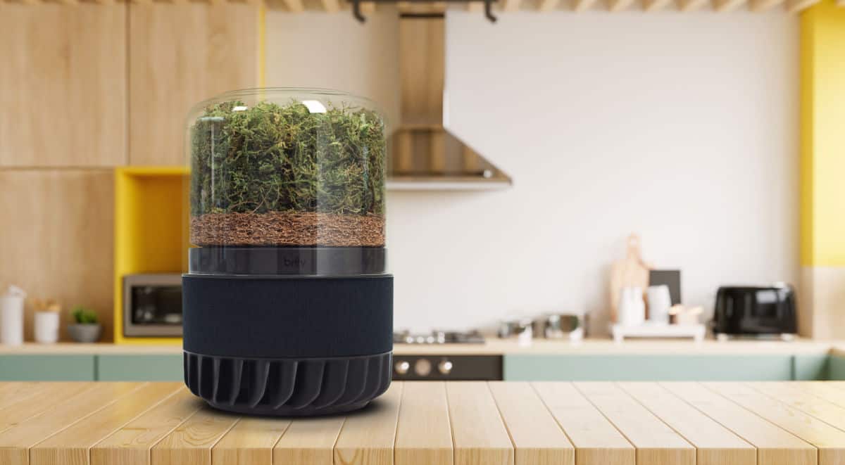 A Briiv eco-friendly air filter in a kitchen