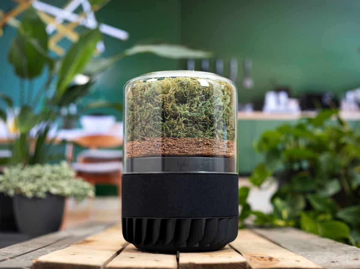 The Briiv Air Filter Is the Moss-Powered Air Purifier You Need