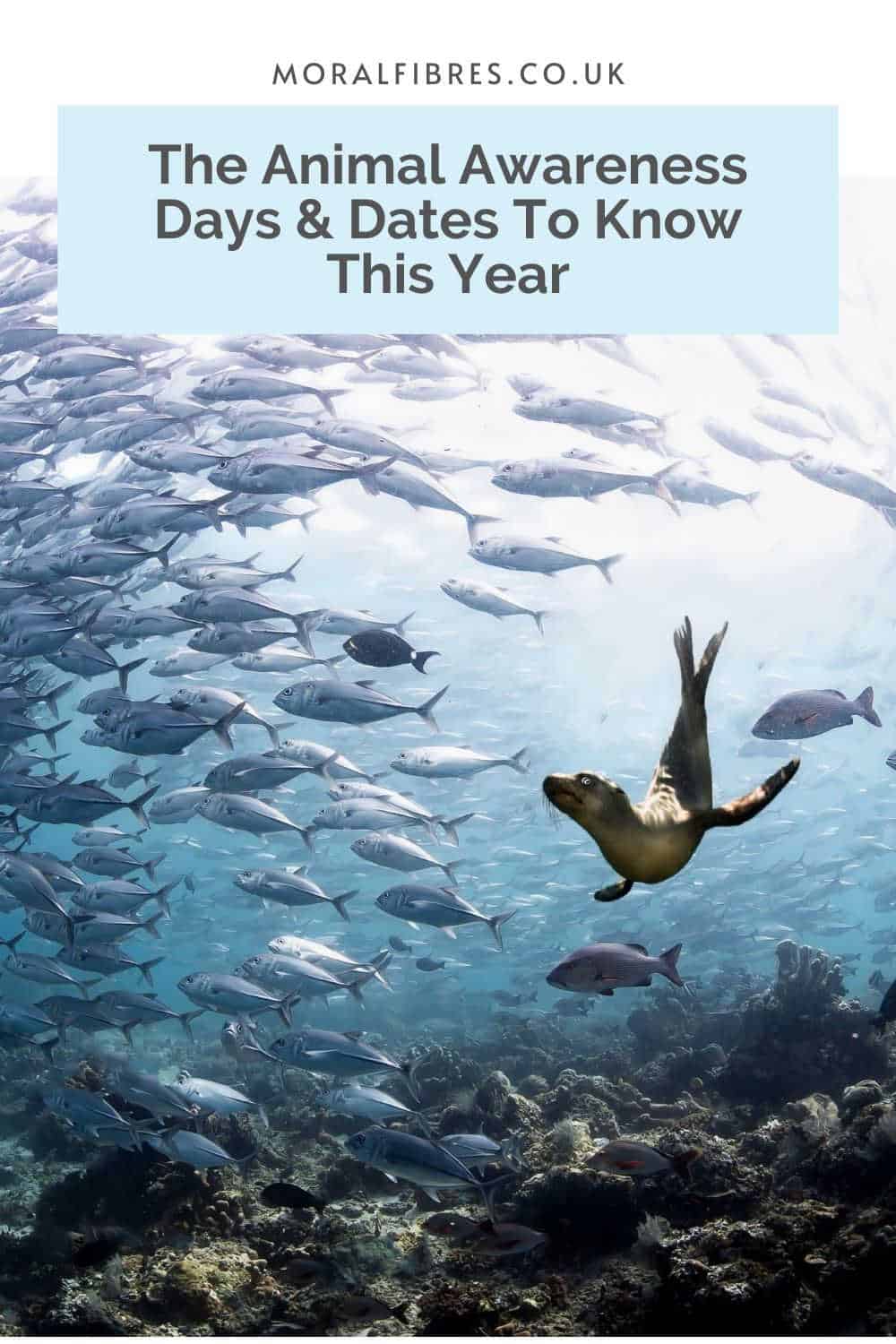 Leopard seal swimming in the sea with fish with a blue text box that reads the animal awareness days and dates to know this year.