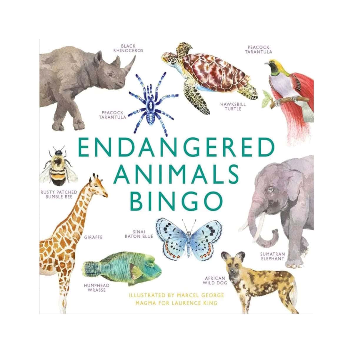 The lid of the Endangered Animals Bingo game featuring threatened animals.