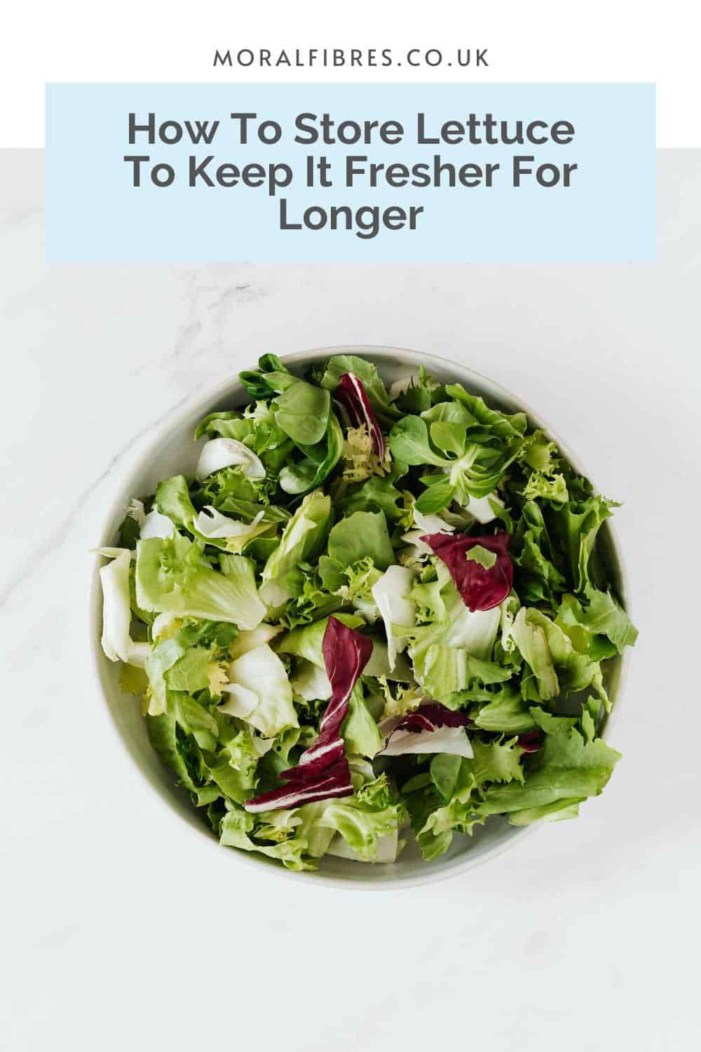 Salad leaves in a white bowl on a white countertop with a blue text box that reads how to store lettuce to keep it fresher for longer