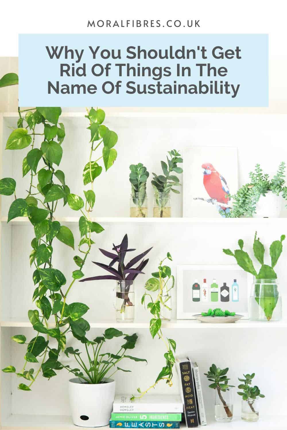 Plants, books and art prints on white shelves with a blue text box that reads why you shouldn't get rid of things in the name of sustainability