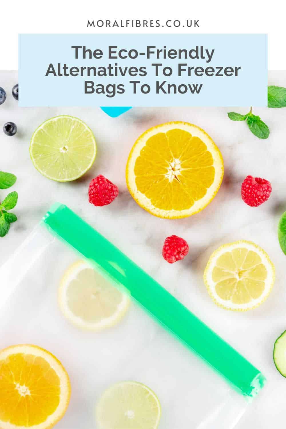 A reusable silicone freezer bag next to raspberries and slices of citrus, with a blue text box that reads the eco-friendly alternatives to freezer bags to know.